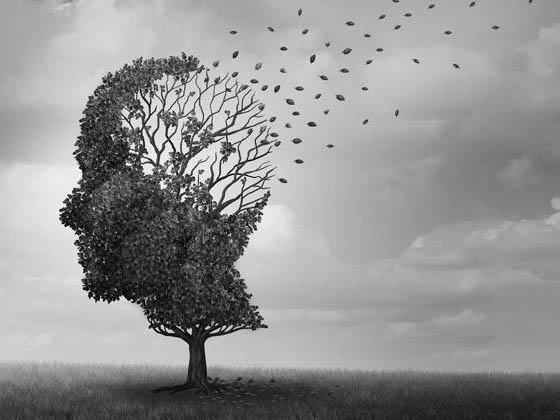 Atención a persoas con demencia e alzheimer
